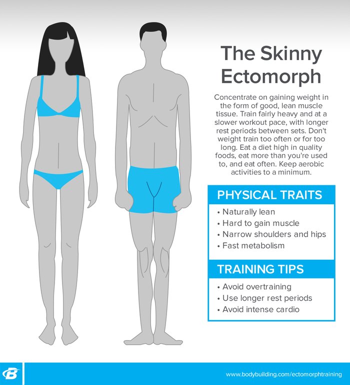 Do You Have An Endomorphic Body? Here's The Diet And Exercise That Suits  You Well