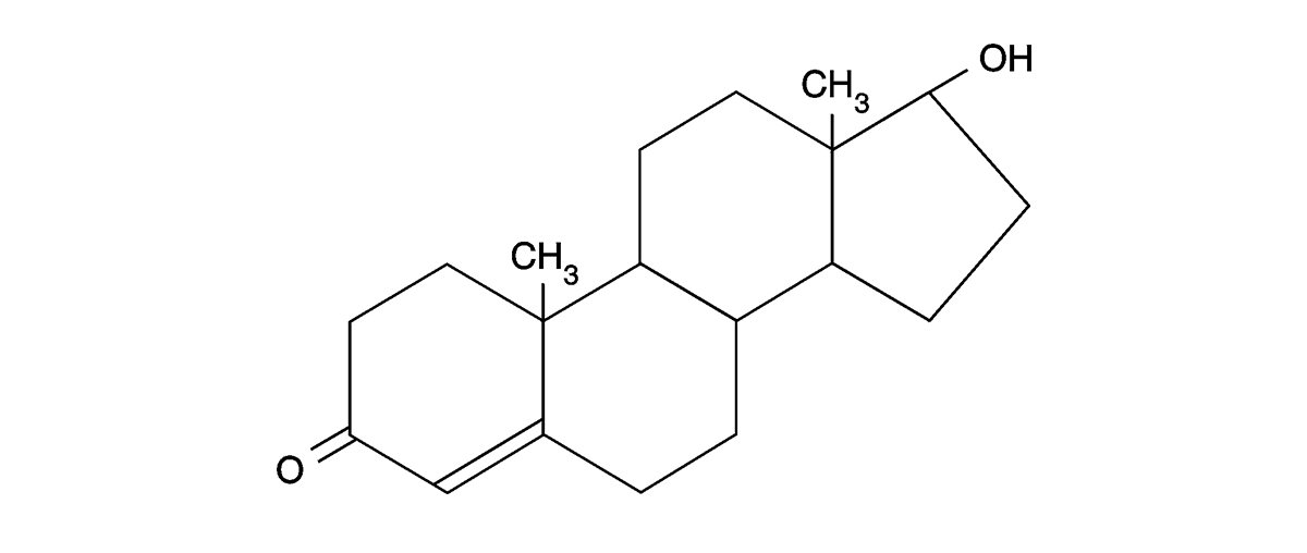 all-about-testosterone--v2-1.jpg