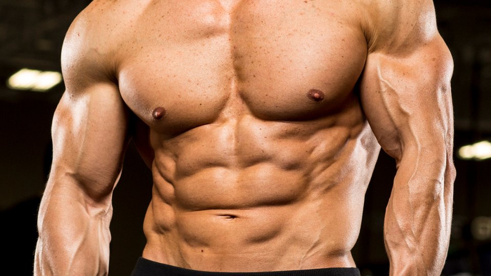 Clear And Unbiased Facts About muscle building program at home
