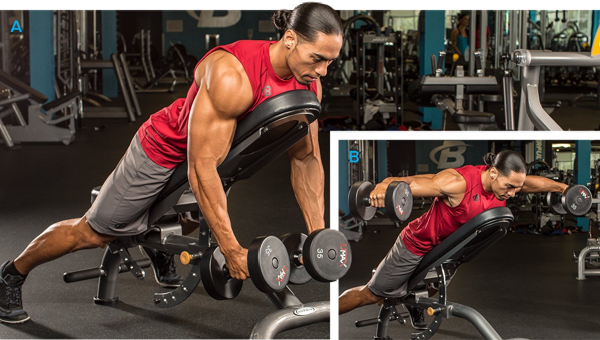 Seated Bent-Over On An Incline Bench