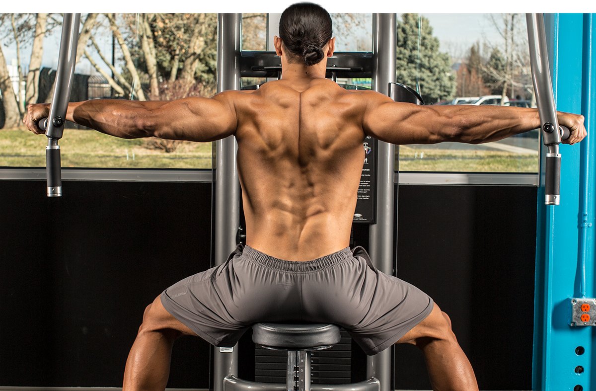 Seated Reversed On A Pec Deck Machine