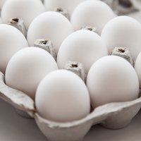 eggs large