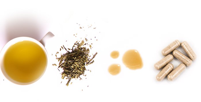 Your Expert Guide to Green Tea