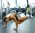 Suspended Oblique Crunch