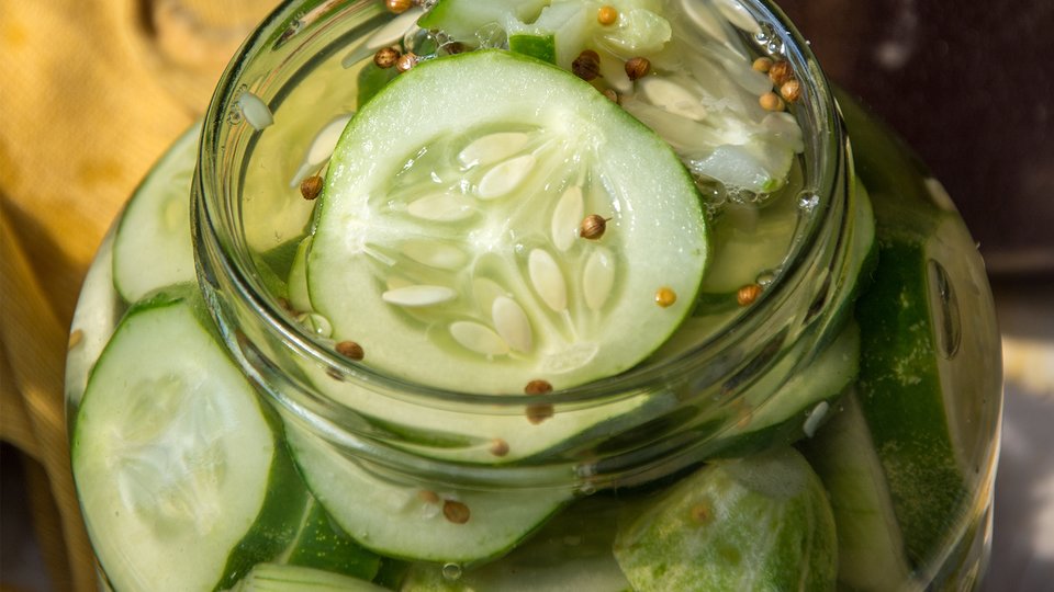 Homemade Cucumber Pickles