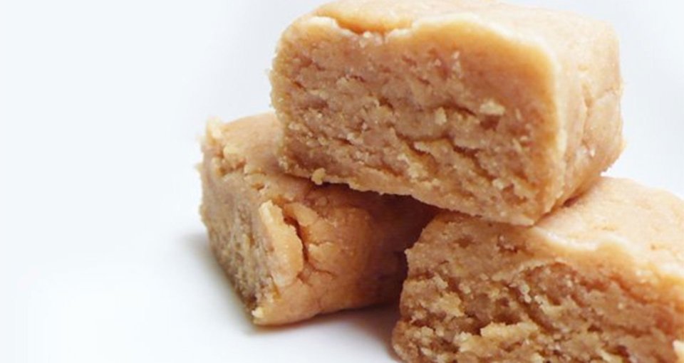 Protein Fudge