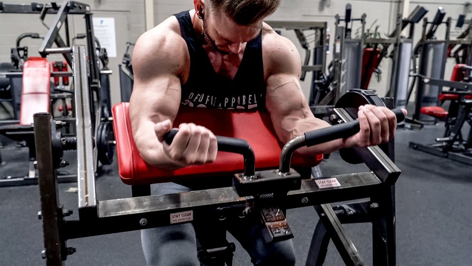 30 Minute Workouts For Arm Pump for Push Pull Legs