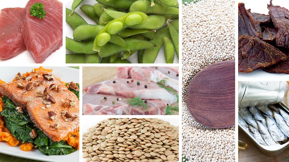 Ferie Urter økologisk Top 40 High-Protein Foods For Bodybuilding