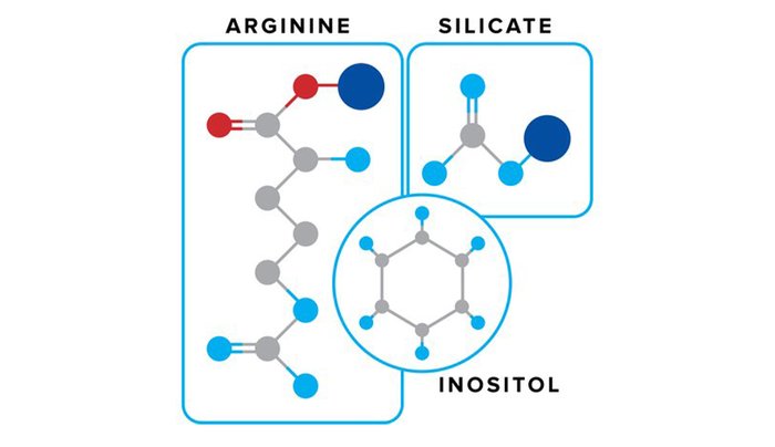 Nitrosigine