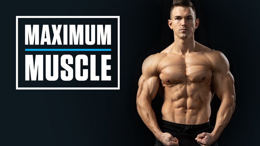 Maximum Muscle Cover Image