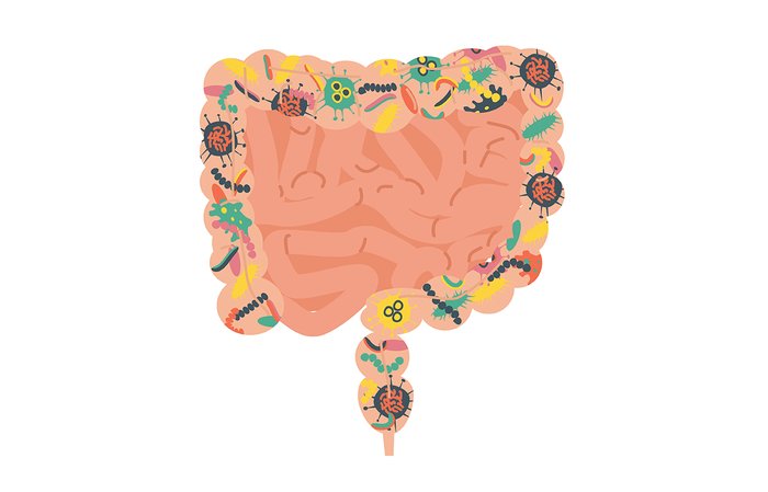 The gut microbiome. 