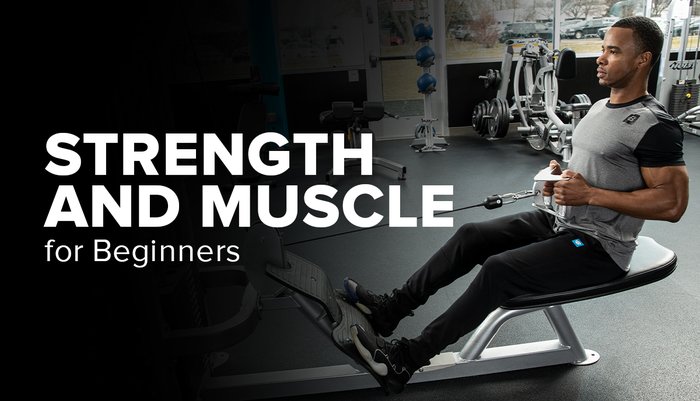 Strength and Muscle for Beginners