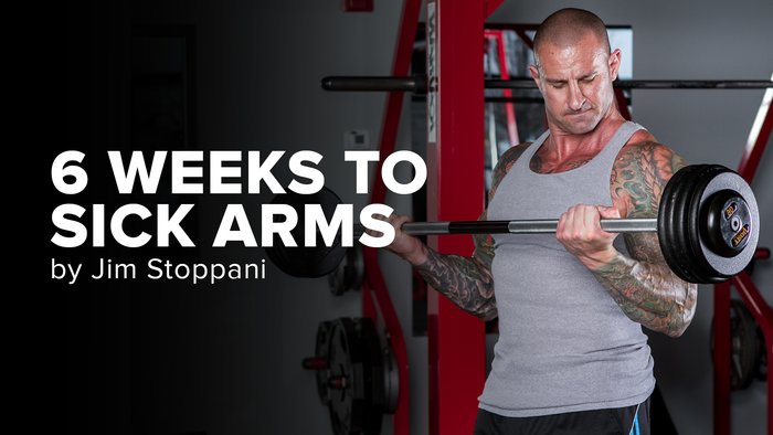 6 Weeks to Sick Arms