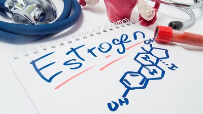 Is Your Estrogen Dominance Linked to Stress, Liver Health, or Your Gut Microbiome?
