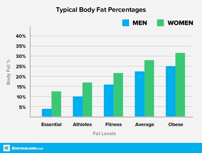 Typical body fat percentages chart.