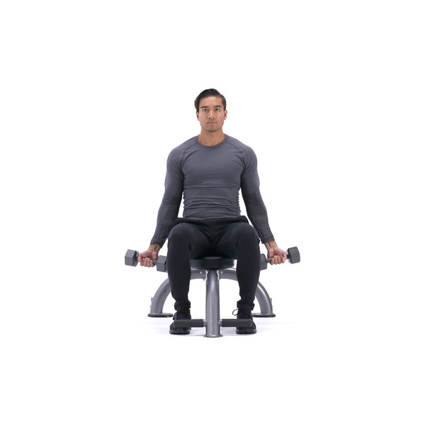 Seated dumbbell biceps curl thumbnail image