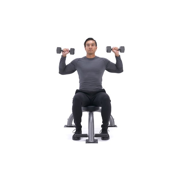 Seated Dumbbell Press thumbnail image