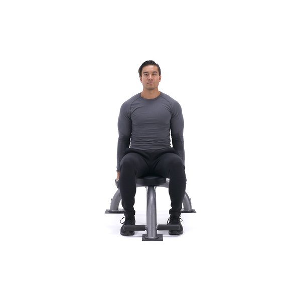 Seated Side Lateral Raise thumbnail image