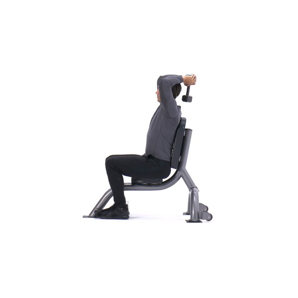 Seated triceps press thumbnail image