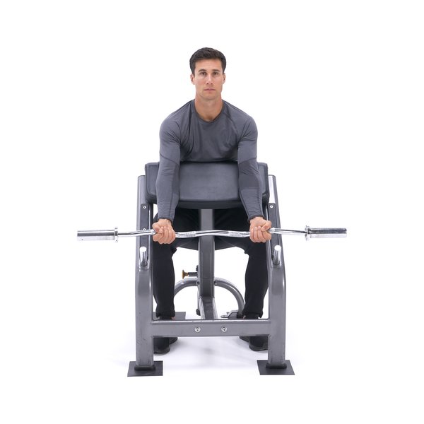 DTX Fitness Weights Bench Multi Gym Dumbell Workout Leg Bar/Preacher Curl Arms 