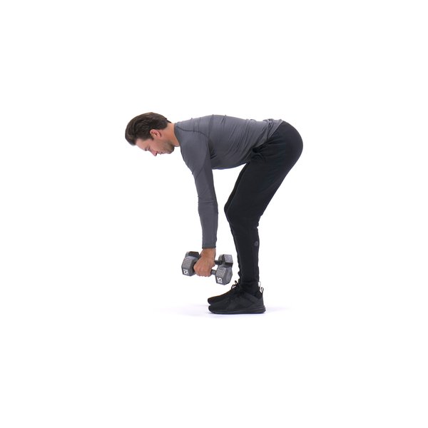 Dumbbell bent-over row thumbnail image