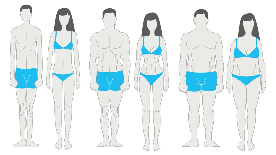 What Is My Body Type