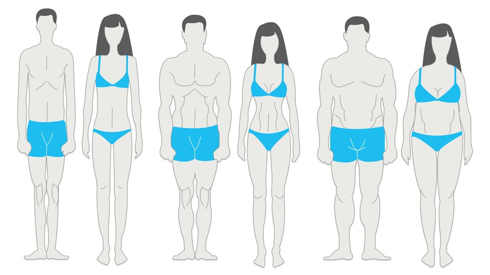 Female Body types: How best to eat, train and supplement for your