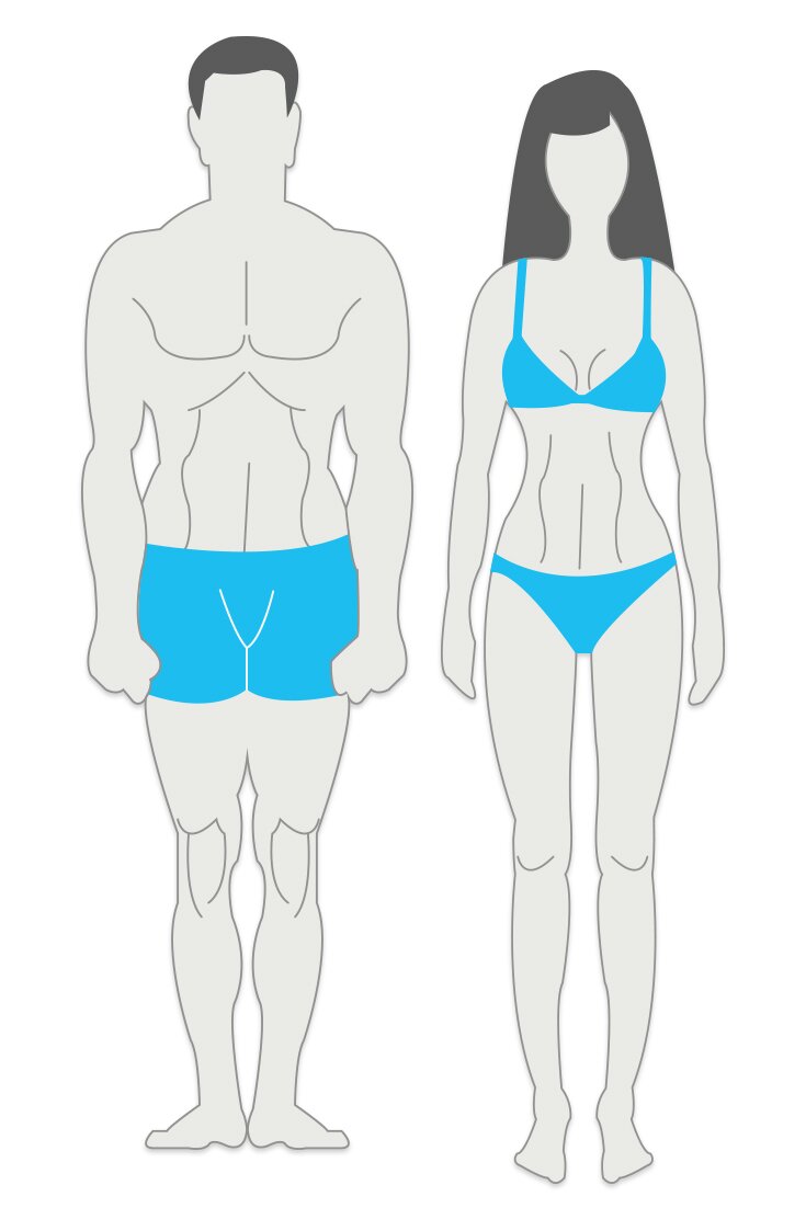 body types ectomorph mesomorph endomorph