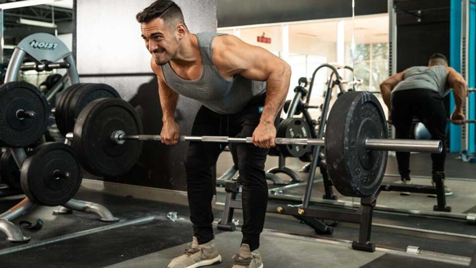 12 Best Barbells for Strength Training at Home, According to