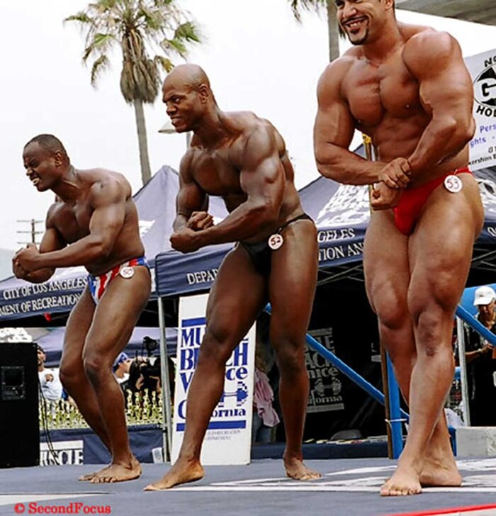 Understanding the Different Competitive Bodybuilding Divisions For