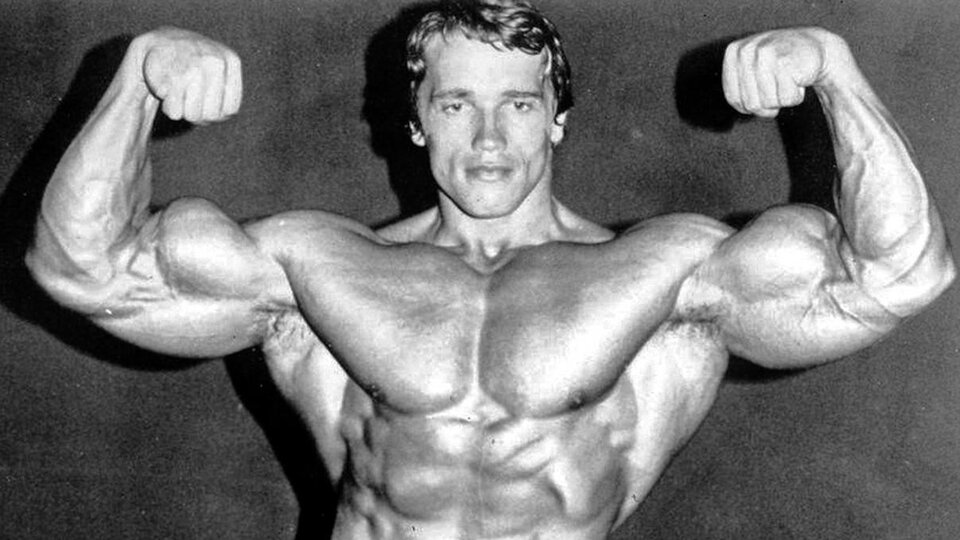 Arnold&#39;s Classic Shoulder and Arms Workout