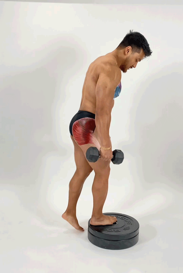 Elevated Reverse Lunge