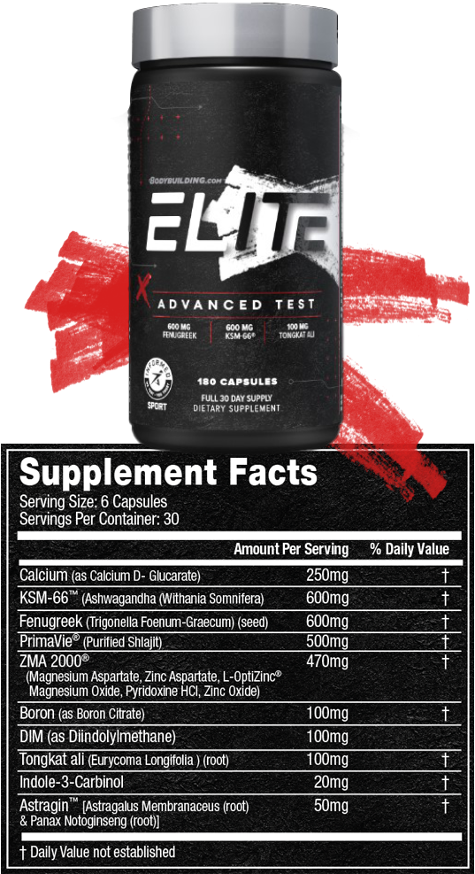 Elite Advanced Test