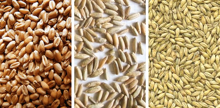It is the prolamins in wheat (gliadin), rye (secalin), and barley (hordein)...