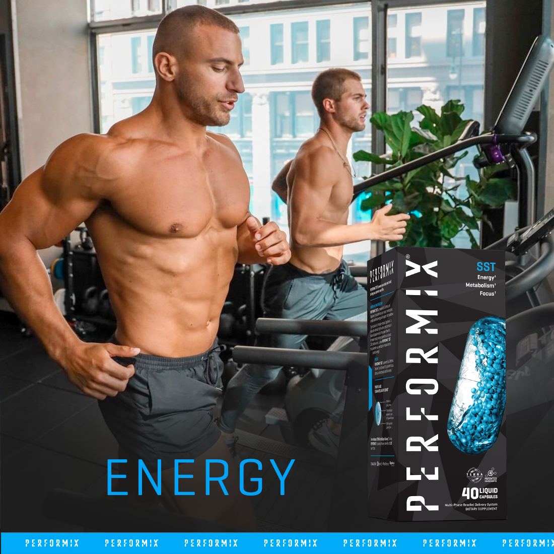 Performix SST Key Ingredients