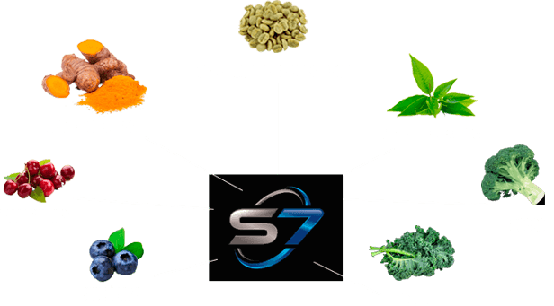 S7 Ingredients