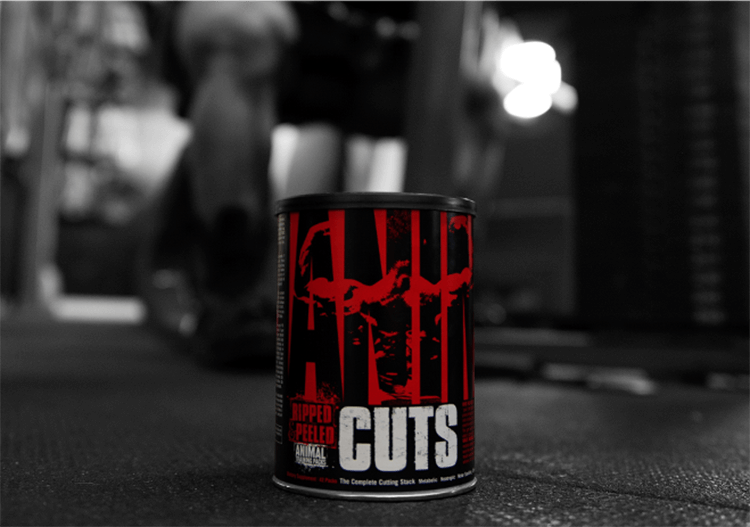 Animal Cuts Container