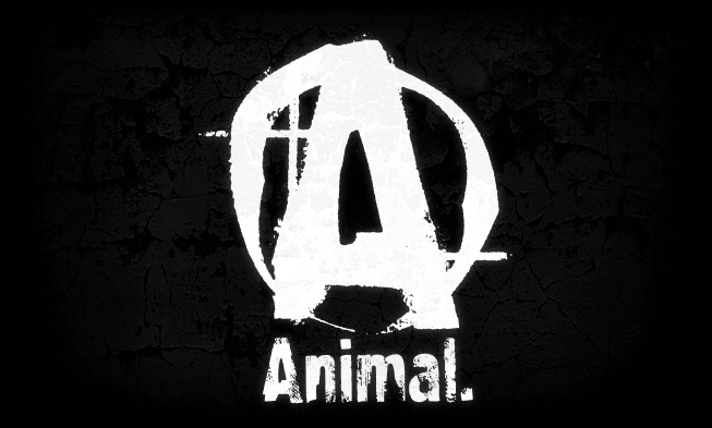 Animal