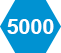 5000 Icon