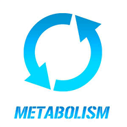 Metabolism*