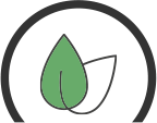 Leaves Icon