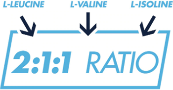 2:1:1 Ratio of L-Leucine to L-Valine and L-Isoleucine