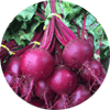 Beets