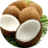 Coconuts