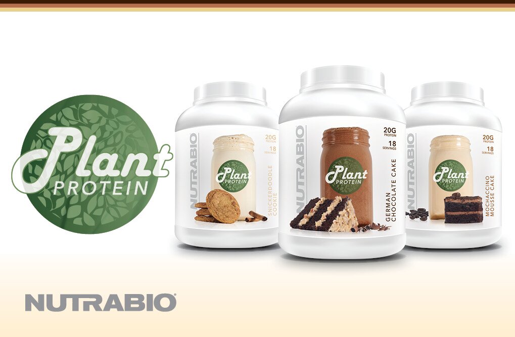 NutraBio Plant Protein - Key Ingredients