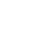 Flag Icon