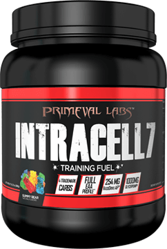 Intracell 7 Black Container