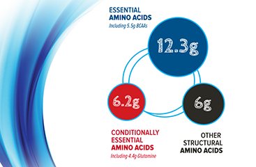 12.3g of Essential amino acids, 6.2g of conditionally essential amino acids and 6g of other structgural amino acids per serving