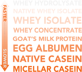 Whey Hydrolysate | Native Whey Isolate | Whey Isolate | Whey Concentrate | Goat's Milk Protein | Egg Albumen | Native Casein | Micellar Casein