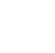 Professional Grade Badge